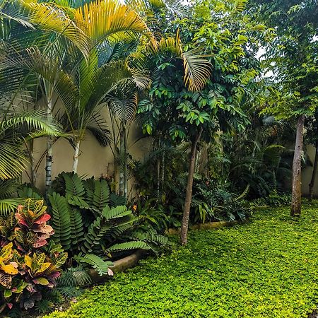 Los Gallos -Suite Vistas Panoramicas Lo de Marcos Exteriér fotografie
